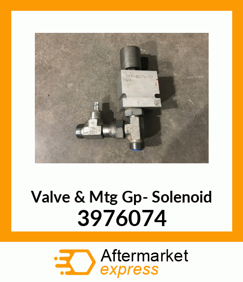 Valve&MtgGp-Solenoid 3976074