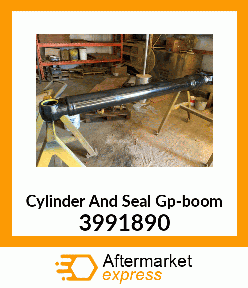 Cylinder And Seal Gp-boom 3991890