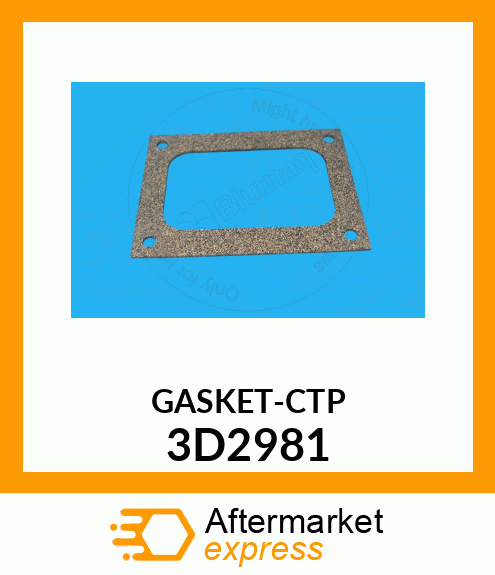 GASKET 3D2981