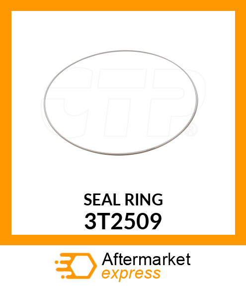 SEAL RING 3T2509