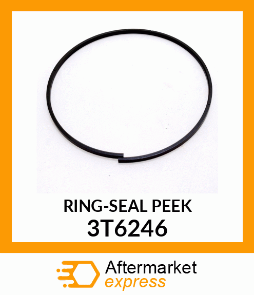 RING-SEAL 3T6246