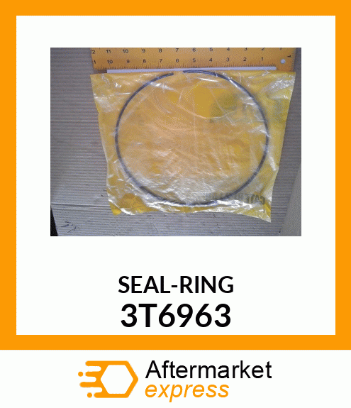 SEAL 3T6963