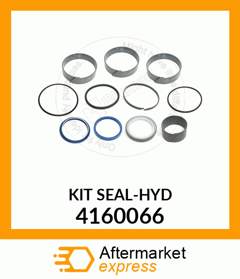 HYDRAULIC SEAL KIT 4160066