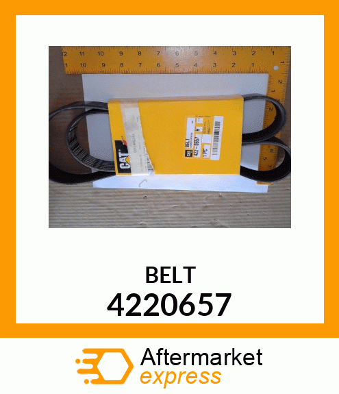 BELT 4220657