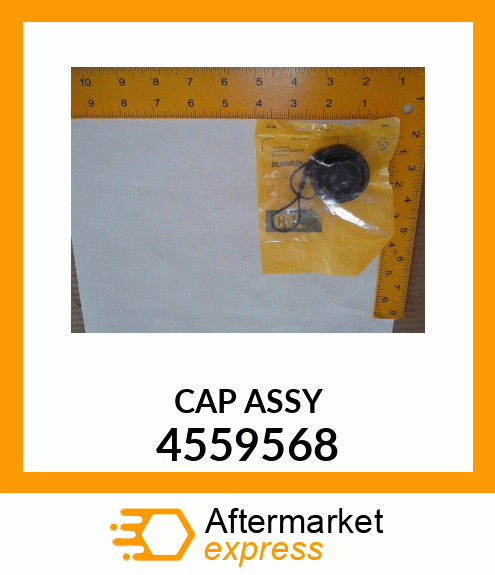 CAP_ASSY 4559568