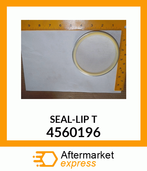 SEAL-LIP T 4560196