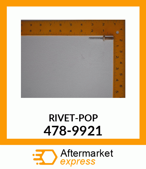 RIVET 478-9921