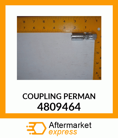 COUPLING_PERMAN 4809464