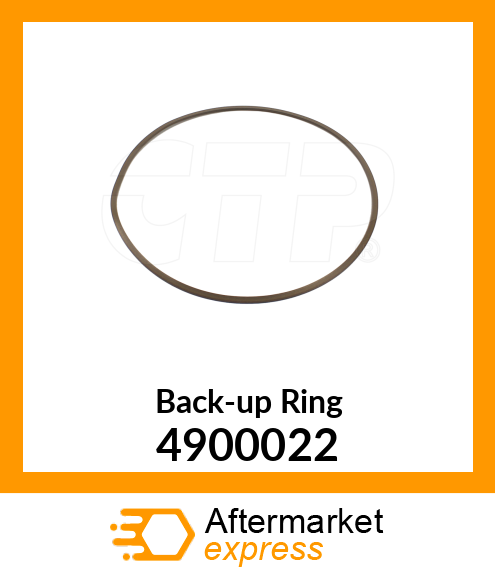 Back-up Ring 4900022