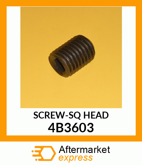 SET SCREW 4B3603