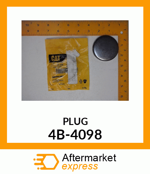 PLUG 4B-4098