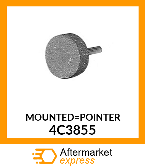 MOUNTED_POINTER 4C3855