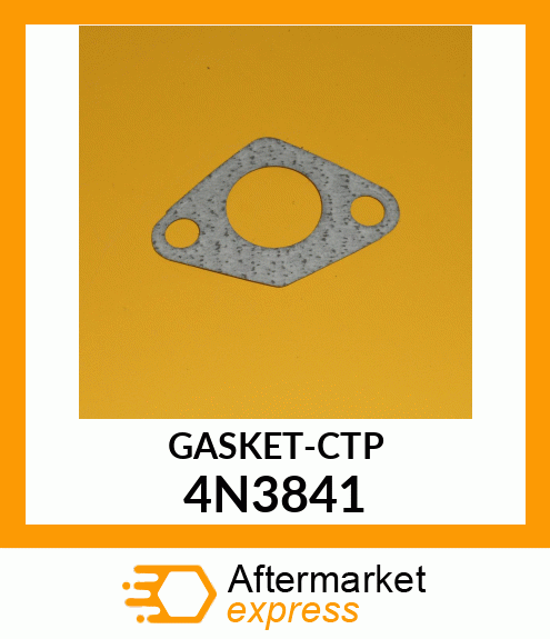 GASKET 4N3841