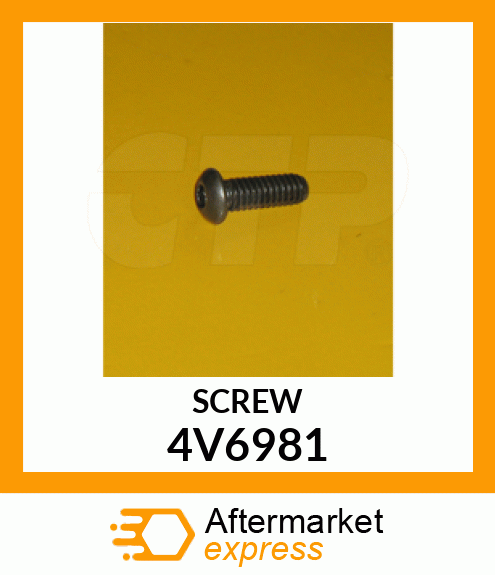 SCREW 4V6981