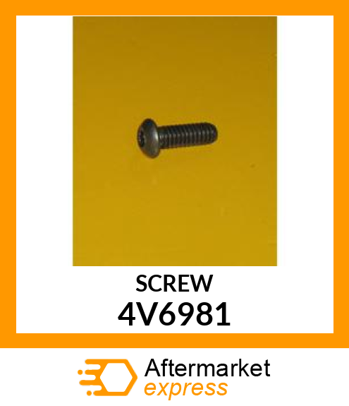 SCREW 4V6981