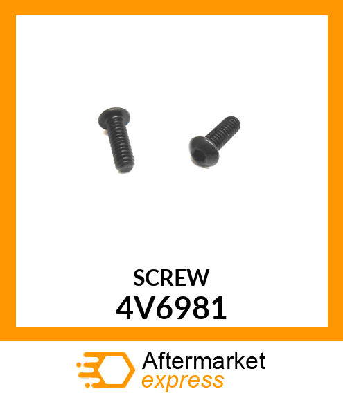 SCREW 4V6981