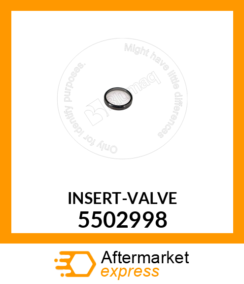 Valve Seat 5502998