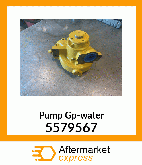 Pump Gp-water 5579567