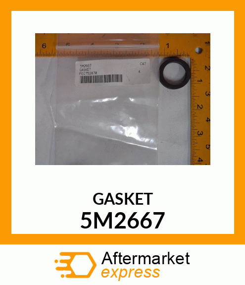 GASKET 5M2667