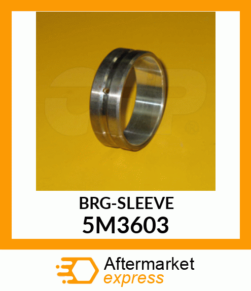 CAM BEARING 5M3603