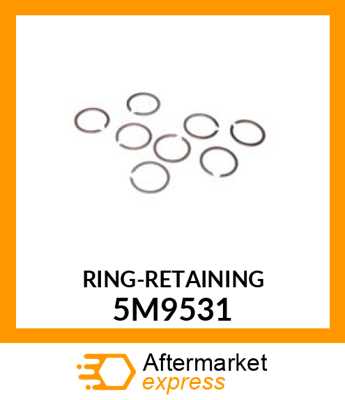 RING 5M9531