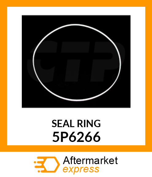 SEAL RING 5P6266