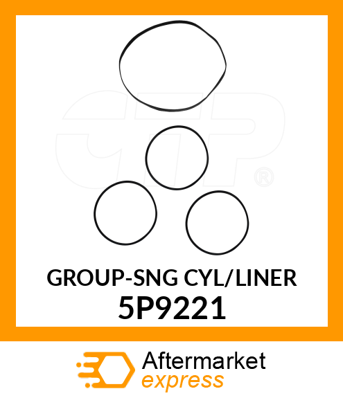 LINER*SEAL* CK1366 5P9221