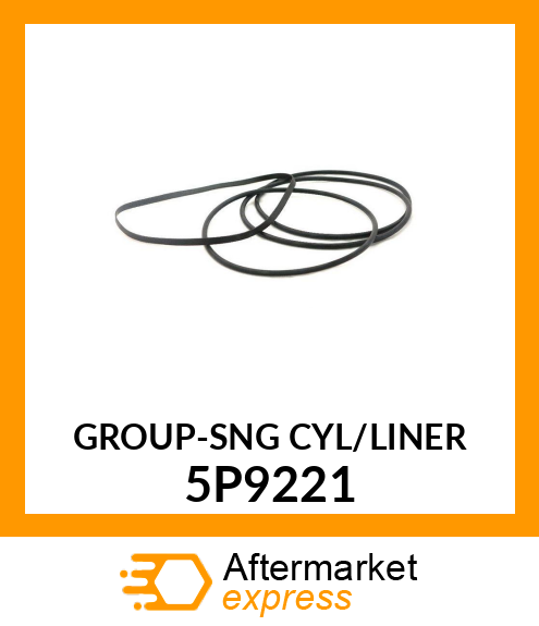 LINER*SEAL* CK1366 5P9221