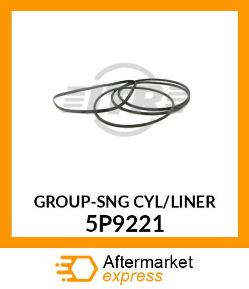 LINER*SEAL* CK1366 5P9221