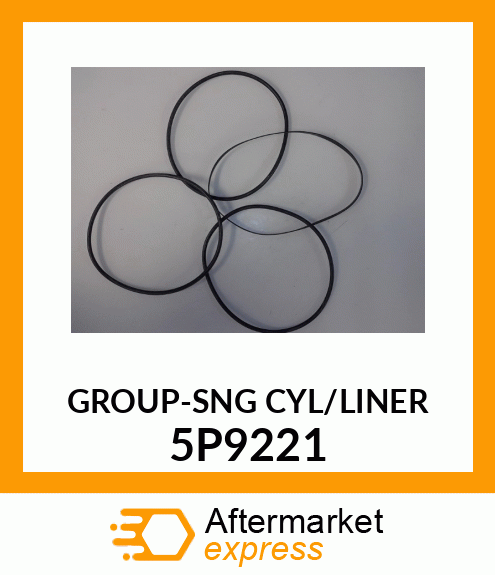 LINER*SEAL* CK1366 5P9221