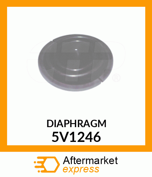 DIAPHRAGM 5V1246