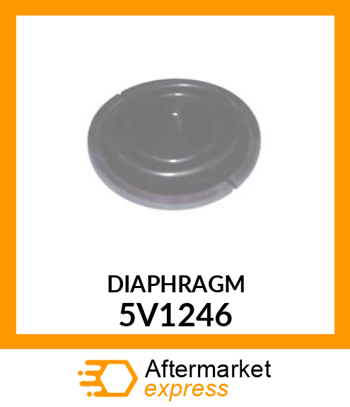 DIAPHRAGM 5V1246