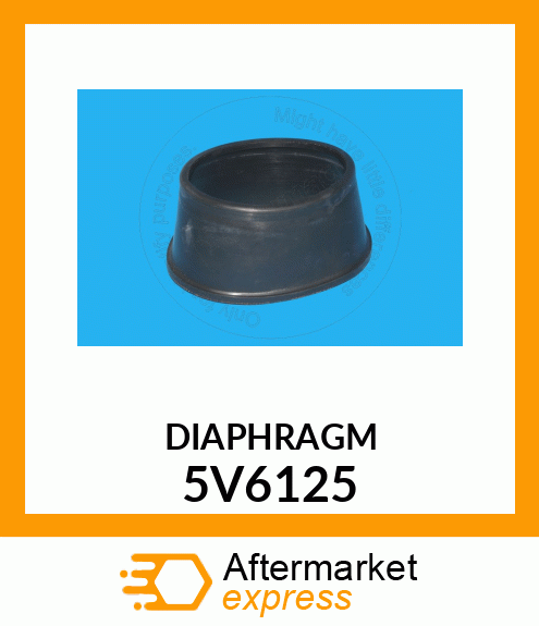 DIAPHRAGM 5V6125