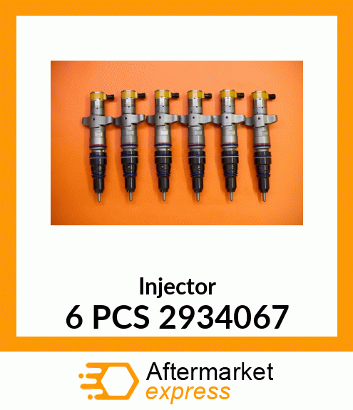 Injector 6 PCS 2934067