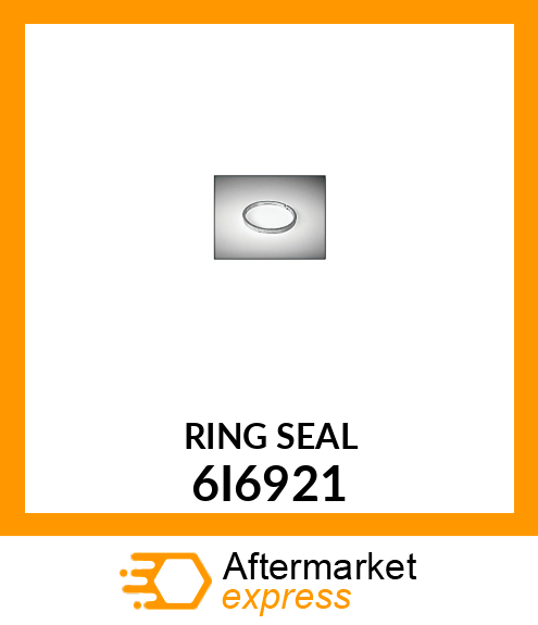 RING SEAL 6I6921