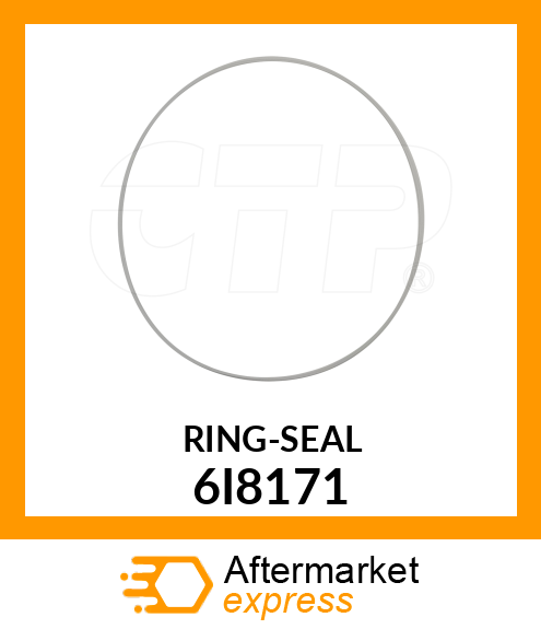 RING-SEAL 6I8171