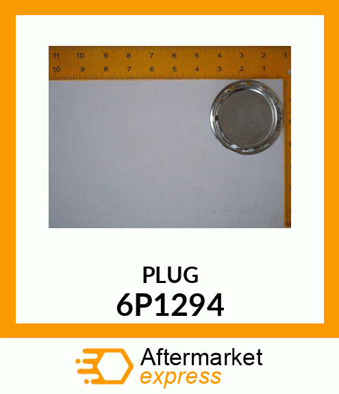 PLUG 6P1294