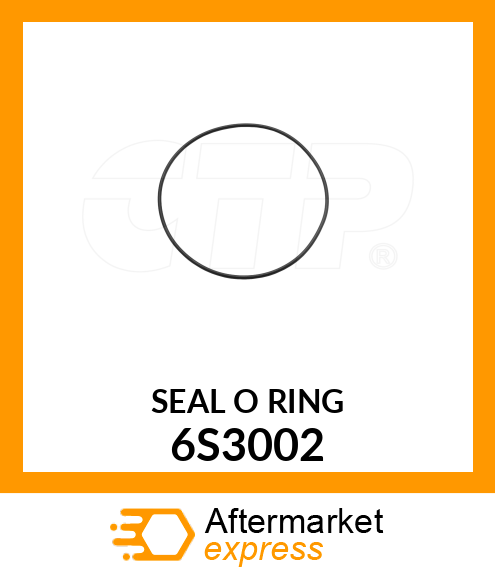 SEAL O RIN 6S3002