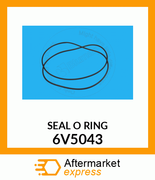 SEAL O RING 6V5043