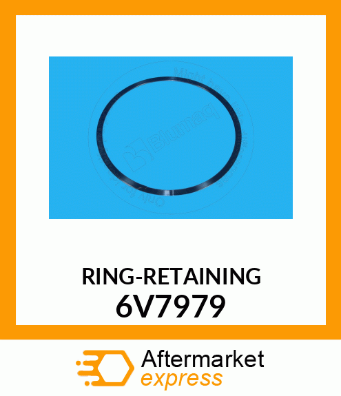 RING-RETAINING 6V7979