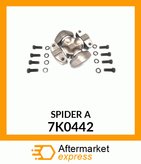 SPIDER&BRG 7K0442