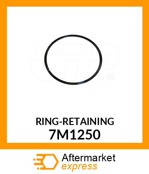 RING-RETAINING 7M1250