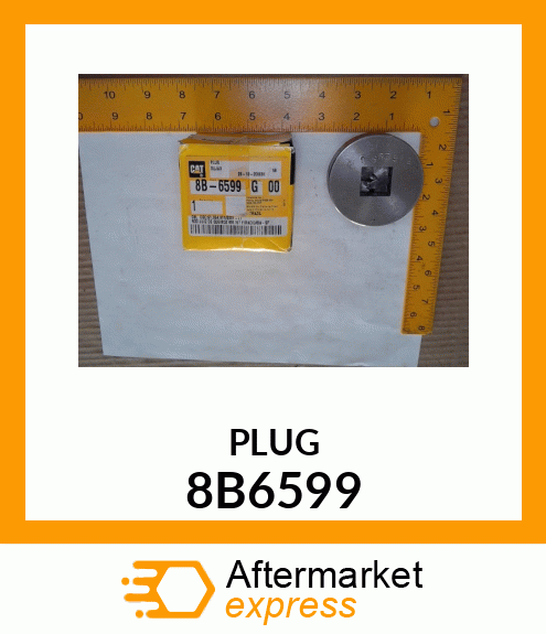 PLUG 8B6599