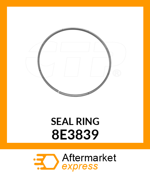 SEAL RIN 8E3839