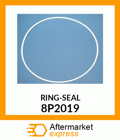 RING-SEAL 8P2019