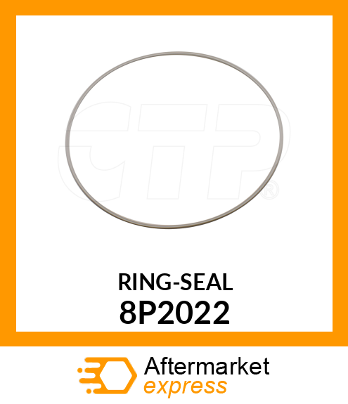 RING-SEAL 8P2022