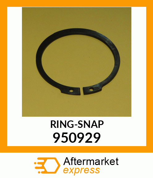 RING-SNAP 950929