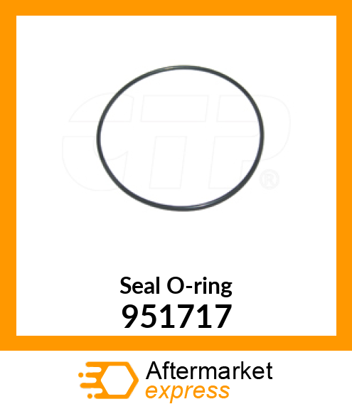 SEAL-O-RING 951717