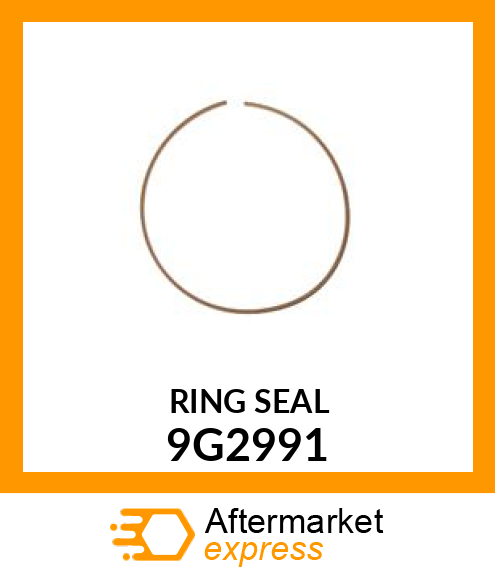 RING-SEAL 9G2991