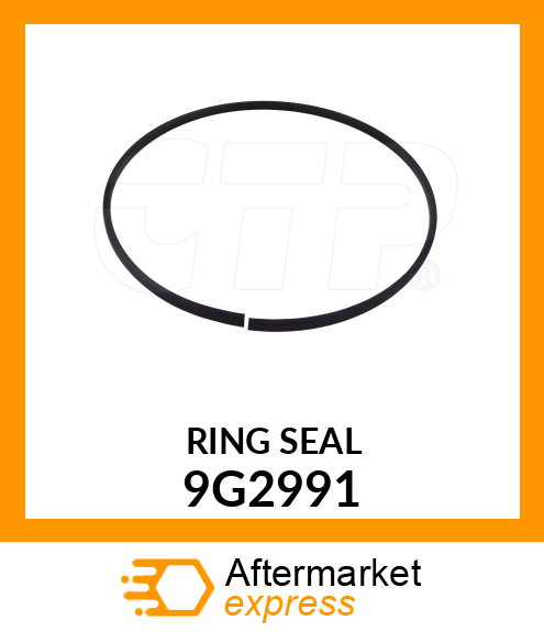 RING-SEAL 9G2991